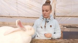 Забой кроликов?! Кролики великаны Содержание кроликов Семья в селе Дом в деревне