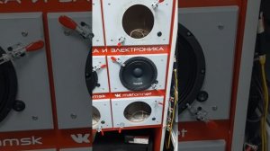 Обзор и прослушка эстрады DST CM - 20.1 v2