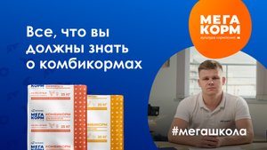 Все, что вы должны знать о комбикормах: советы от Мегакорм