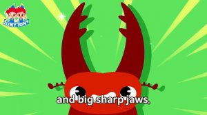 Rhino Beetle vs. Stag Beetle | JunyTony Versus Series Ep.4 | Insect Song for kids | JunyTony