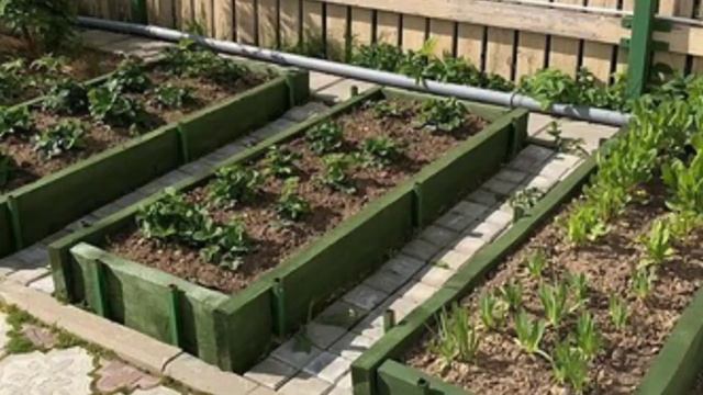Супер удобные грядки. Красивые грядки украсят любой огород смотреть онлайн