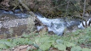 река Сахрай, по пути на Тайвань