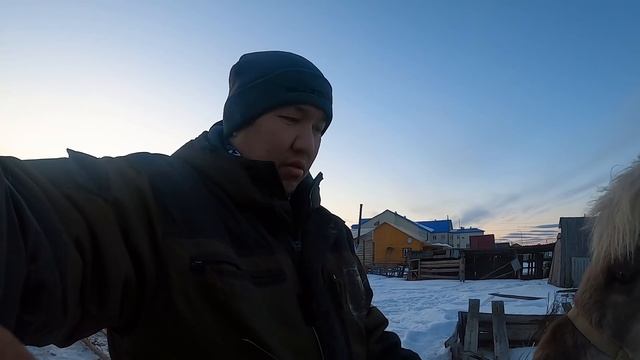 Мой первый жеребенок! Будущий боевой конь! смотреть онлайн