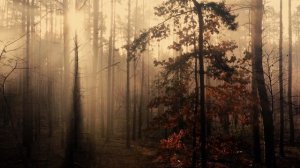 Тайны реинкарнации ? Как узнать любовь из прошлых жизней