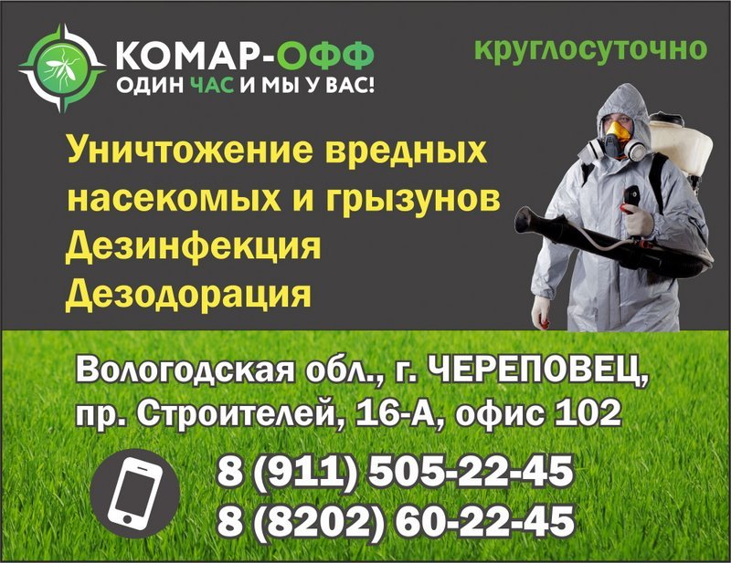 Клопы череповец