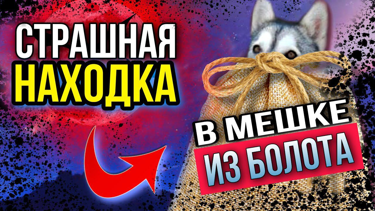 Собаку - инвалида выбросили в болото в завязанном мешке | Чудовищная история спасения хаски Поли