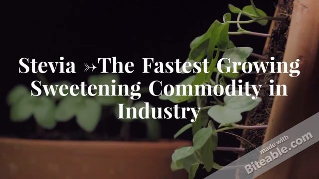 Growing Demand of Stevia Sweetener Around the Globe - Is Stevia Safe For Diabetes - Sugar Free смотреть онлайн