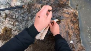 Мой способ чистки и разделки щуки / My way of cleaning and carving pike