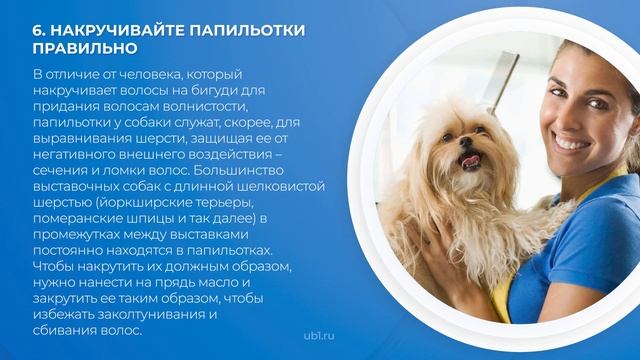 Интернет курс обучения «Груминг (Грумер)» - 12 важных советов для грумеров
