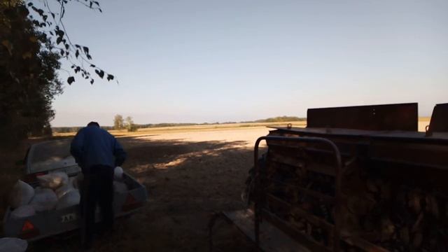 Сеем озимую пшеницу. Сорт Мера 2 я репродукция. смотреть онлайн