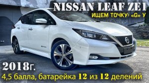 Обзор Nissan Leaf, 40kWt, комплектация: "G", пробег: 88000км, оценка: 4,5 балла, батарейка 12 из 12.