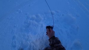 Рыбалка с ночёвкой , о чем мечтал то и поймал.