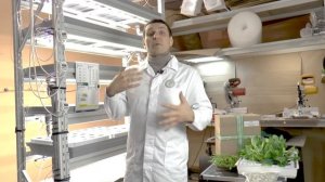 Технологичные решения в гидропонных установках СЕЕМ СЕМЕНА