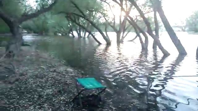 Ерик Ножовский.Астрахань.А это после уборки за "свиньями". смотреть онлайн