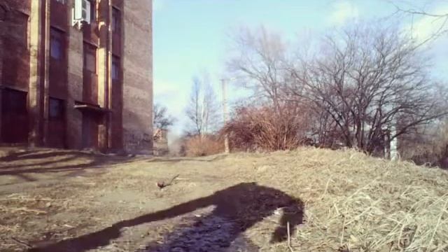 Учим собаку прыгать через ногу смотреть онлайн