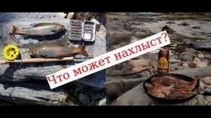 Ловля хариуса на нимфы в порогах | Кузнецкий Алатау | Кузбасс | Czech Nymph