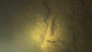 Подводная охота на судака в Москва реке!