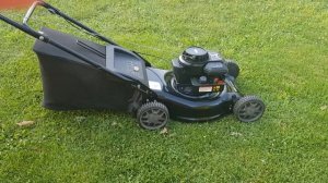 Briggs&Stratton 450 148cc