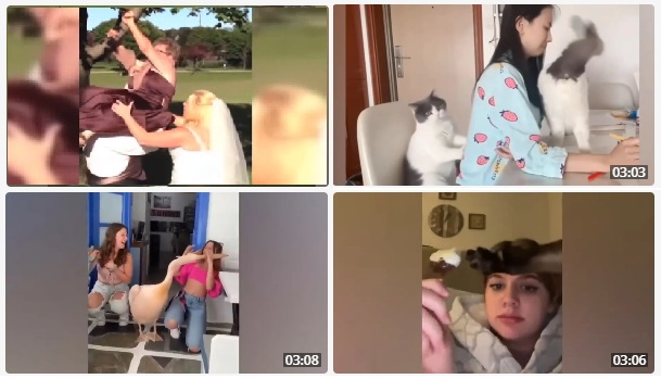 Сборник Смешные приколы #5 , 2фев - 5фев 2023 смотреть онлайн