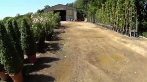 Дальнобой по Европе. Категория Е Европа.