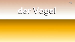 13. Словарный запас A1. Немецкий с Боженой Корн