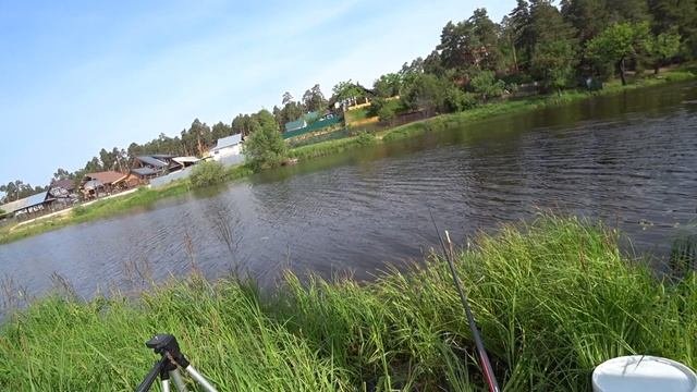 Карась на поплавок 2023