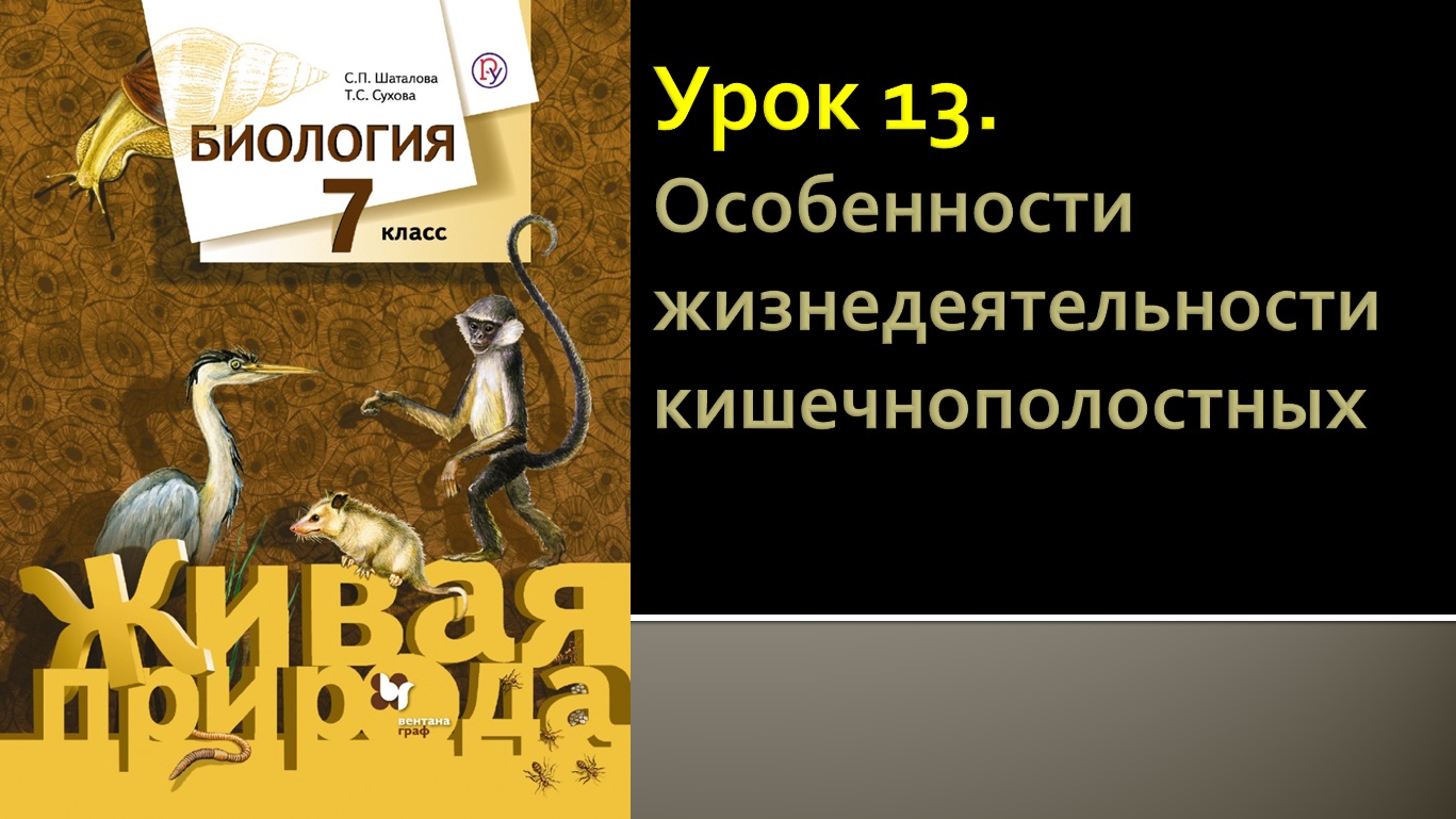Урок 13. Особенности жизнедеятельности кишечнополостных