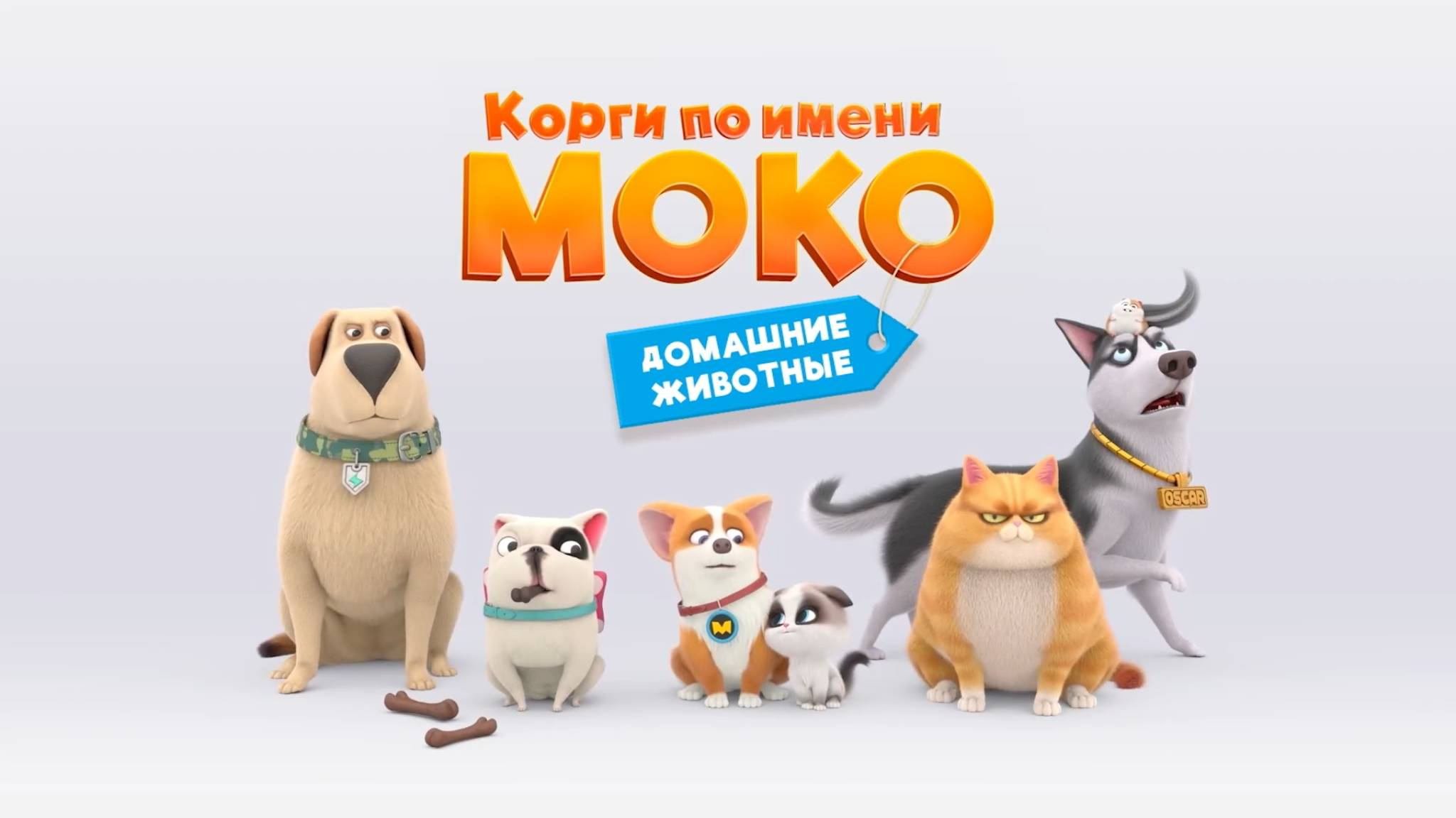 Корги по имени Моко. Домашние животные, 28 серия. Суперкошка Мия