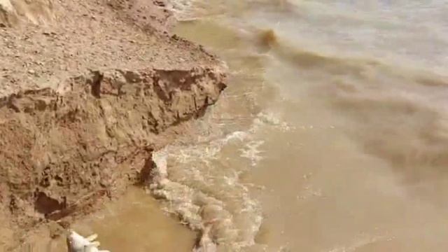 Весенняя рыбалка на сазан смотреть онлайн