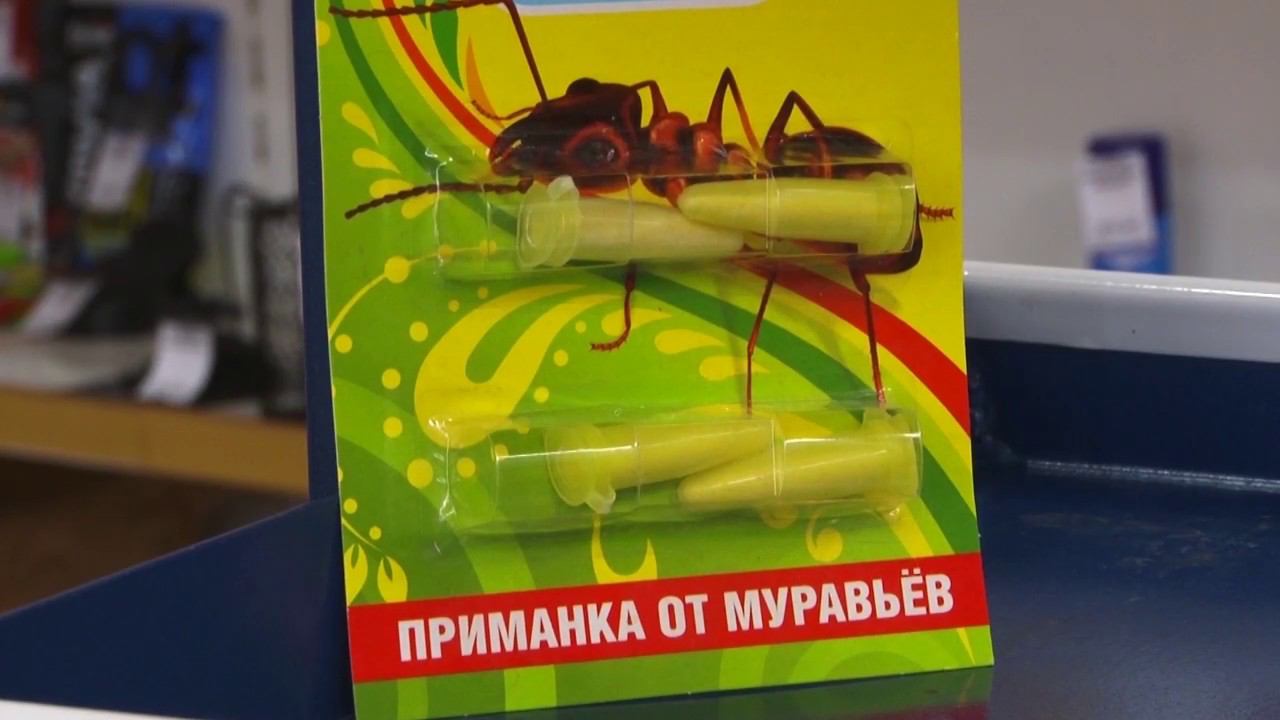 Дачные сезоны с Мариной Рыкалиной. МУРАВЬИ!!!