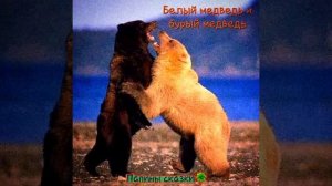 Белый медведь и бурый медведь  (ненецкая народная сказка)