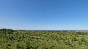 Остров Ду на Освейском озере. Обзорная вышка.