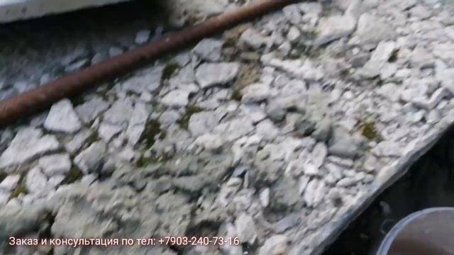 Два непохожих дня, из Жизни абиссинщика