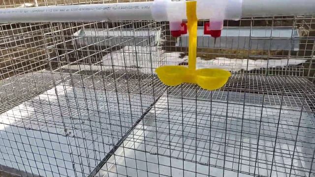 Клетки для кур несушек смотреть онлайн