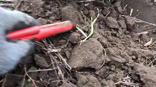 Шерстим поле, где раньше была мельница смотреть онлайн