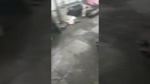 Мтз 320 ремонт