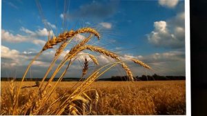 Вадим Егоров   Август   2004   Вальс при свете фонаря