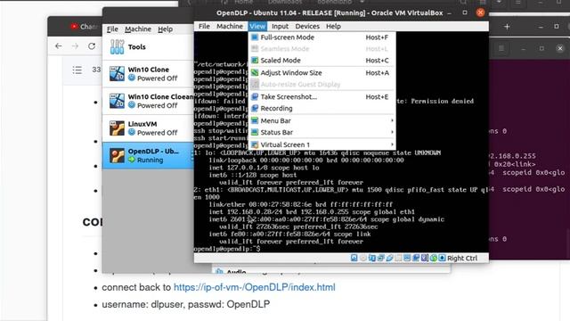 Install OpenDLP Virtual Machine - Download, Import to Virtual Box, Configure Networking, manage UI