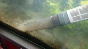 коагуляция органики в 3 х метровом аквариуме