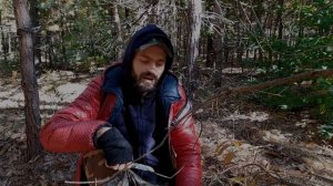 Собираем опята осенние (Armillaria mellea) в октябре 2021 (Как и где искать!)