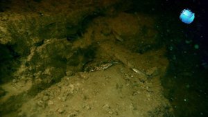 В глубинах Волги