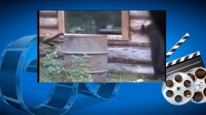 Охота видео. Профессиональная охота в Западной Сибири
