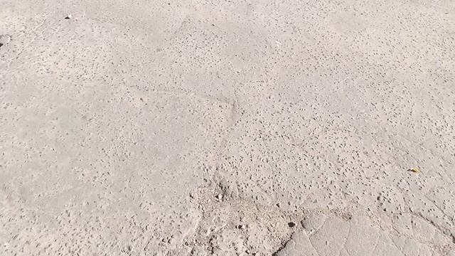 Администрация города Красногорска не справляется со своими должностными обязанностями!