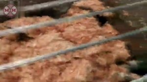 Перемешивание мясного фарша в фаршемешалке ДВАК М-335