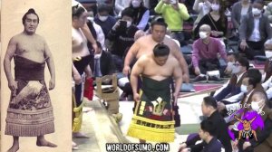 SUMO NEWS 32:Terunofuji Fit? Will Wakatakakage change name? Chiyonofuji trends, Midorifuji, Kagayak