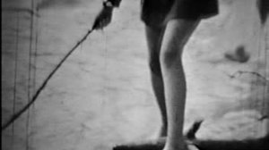 Токсовское лесничество СССР 1976 г..mpg