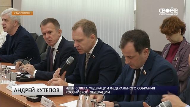 Сенаторы помогут ставропольскому бизнесу и многодетным семьям