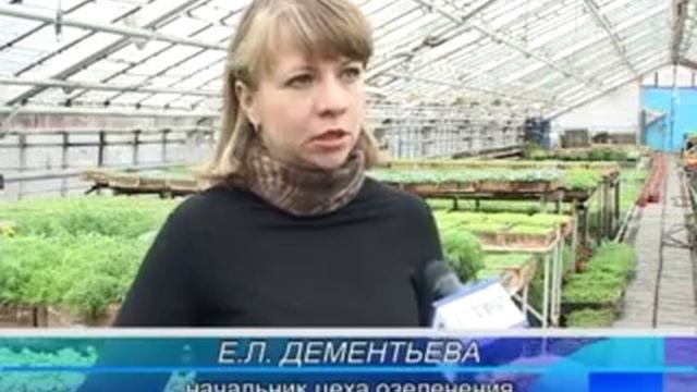 Теплицы