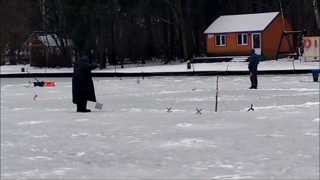 Очень клёвые уловы сига, послеобеденные поимки форели на нижнем. Клёвое место, лосиный остров. смотреть онлайн