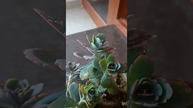 kithe chaliye...........